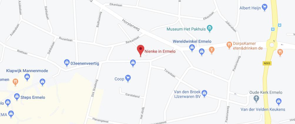 Locatie van Nienke in Ermelo op Google Maps